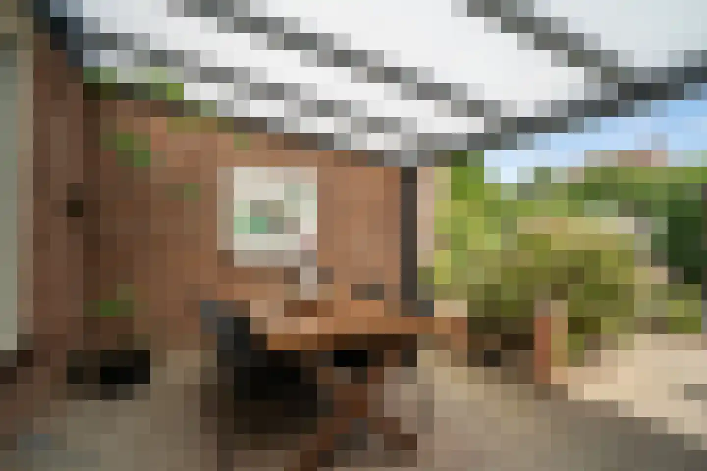 Dotterbloemstraat 20 Reuver thumbnail 18