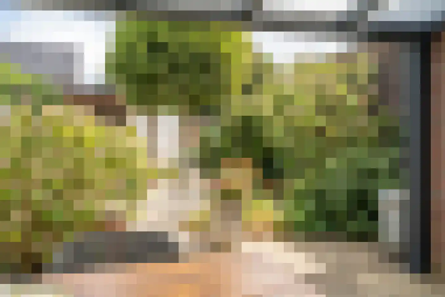 Dotterbloemstraat 20 Reuver thumbnail 19