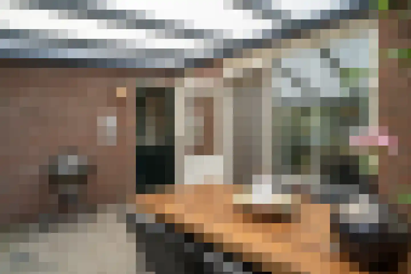 Dotterbloemstraat 20 Reuver thumbnail 21
