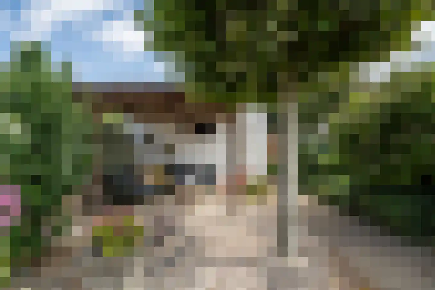 Dotterbloemstraat 20 Reuver thumbnail 22