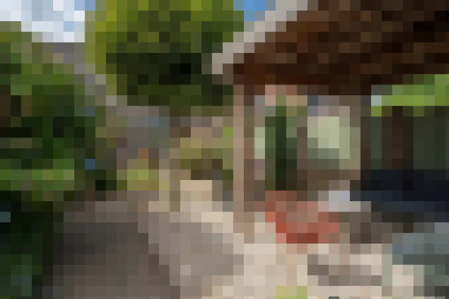 Dotterbloemstraat 20 Reuver thumbnail 25
