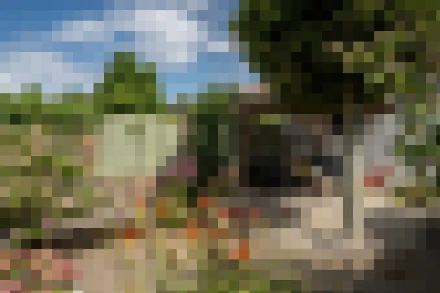 Dotterbloemstraat 20 Reuver thumbnail 30