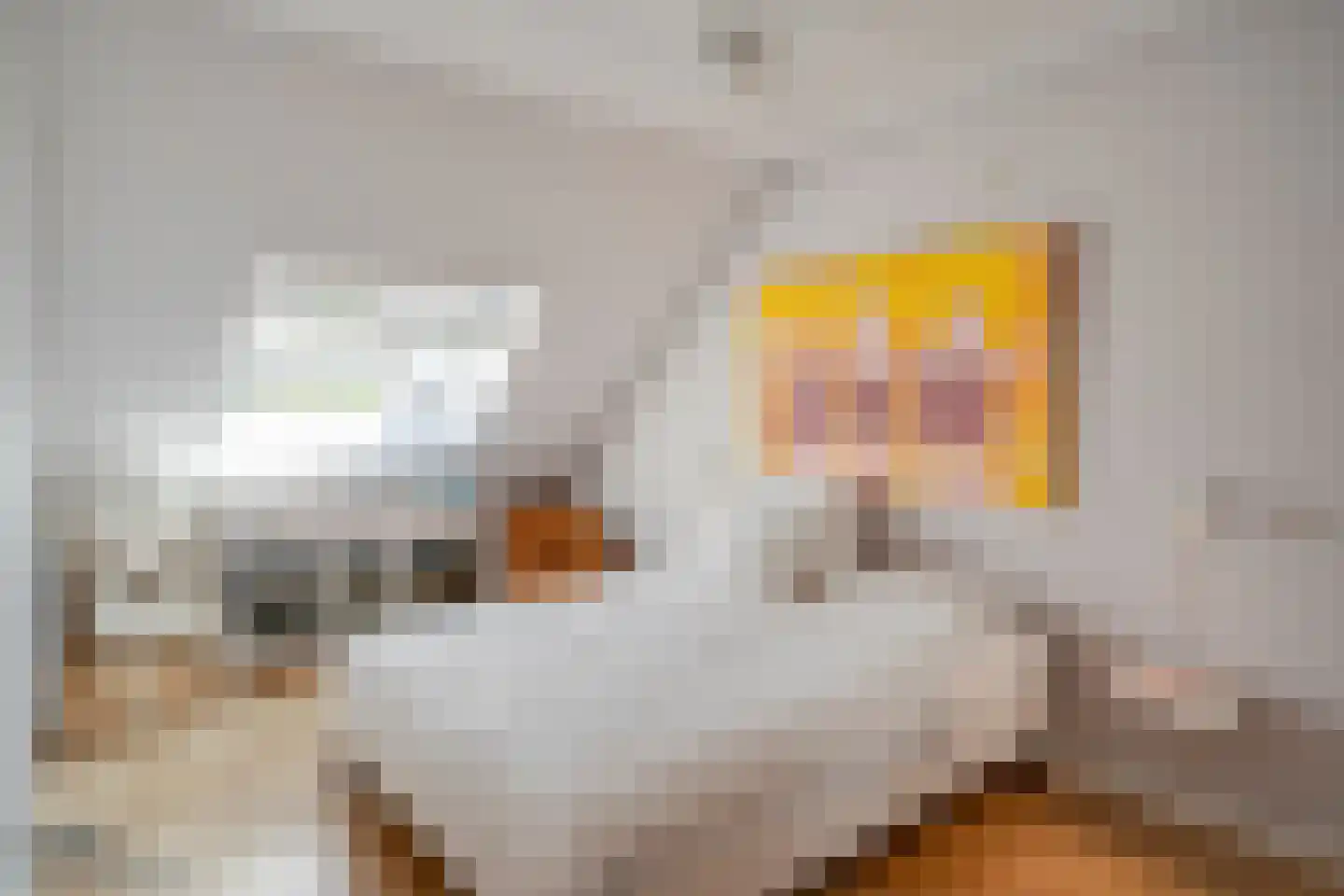 Dotterbloemstraat 20 Reuver thumbnail 37