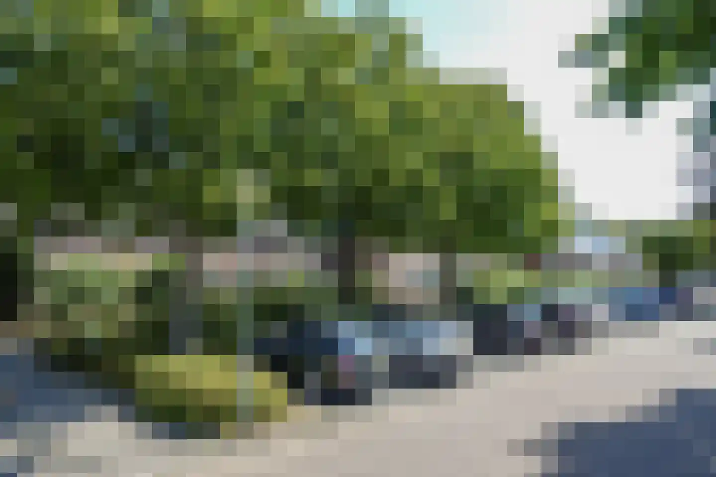 Dotterbloemstraat 20 Reuver thumbnail 45