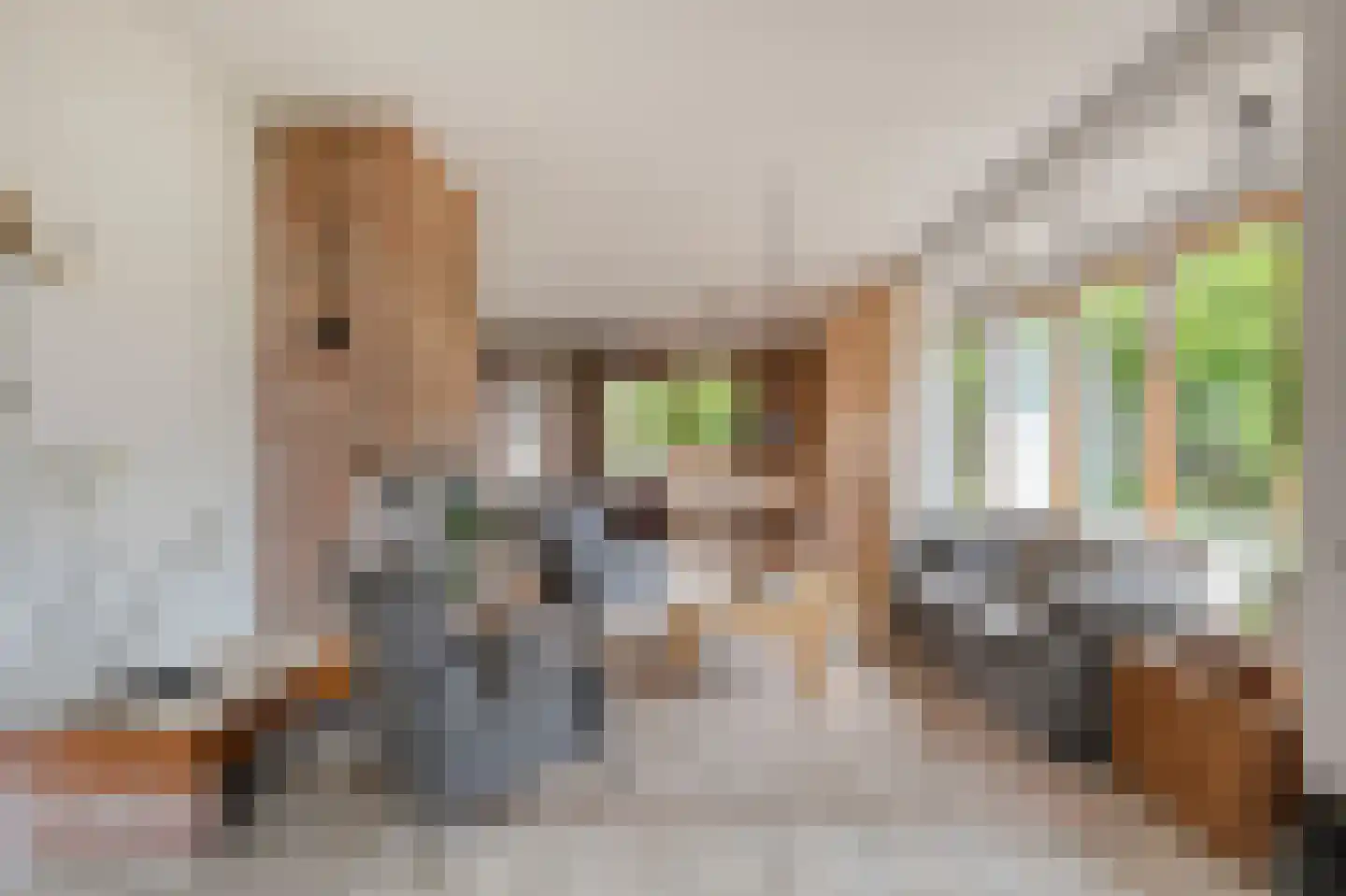 Dotterbloemstraat 22 Klaaswaal thumbnail 10