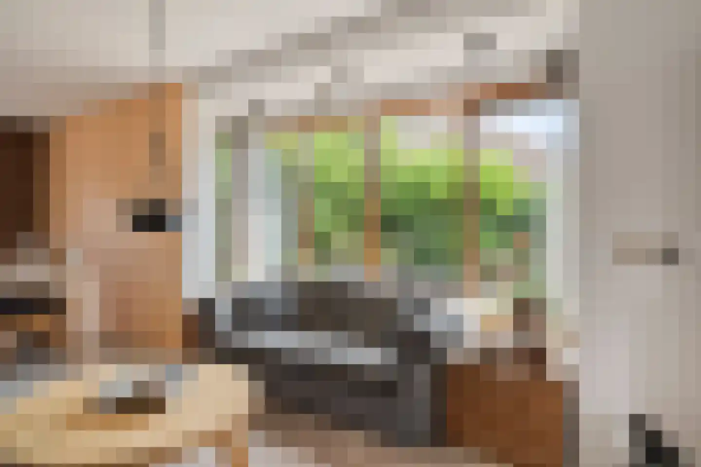 Dotterbloemstraat 22 Klaaswaal thumbnail 11