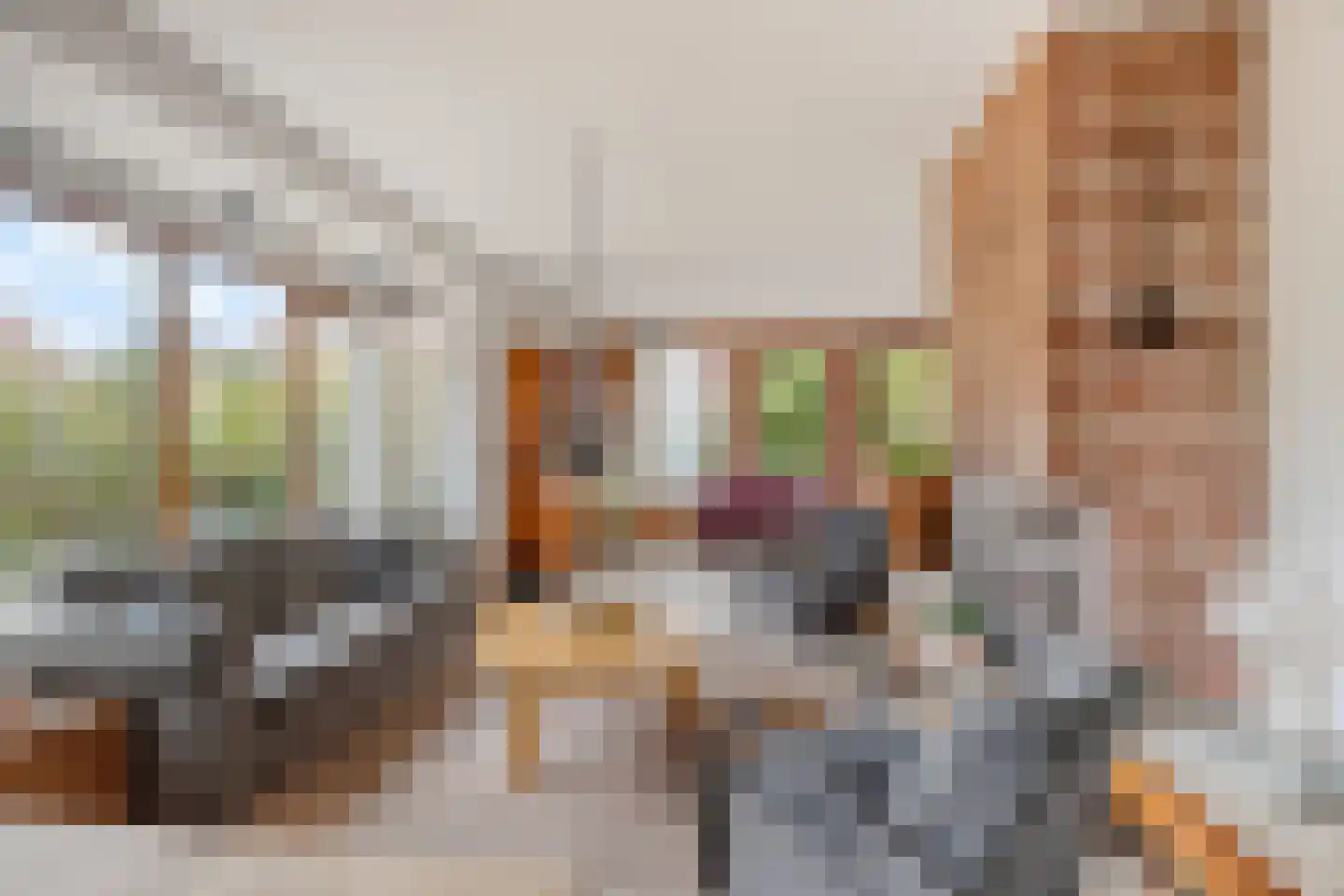 Dotterbloemstraat 22 Klaaswaal thumbnail 13