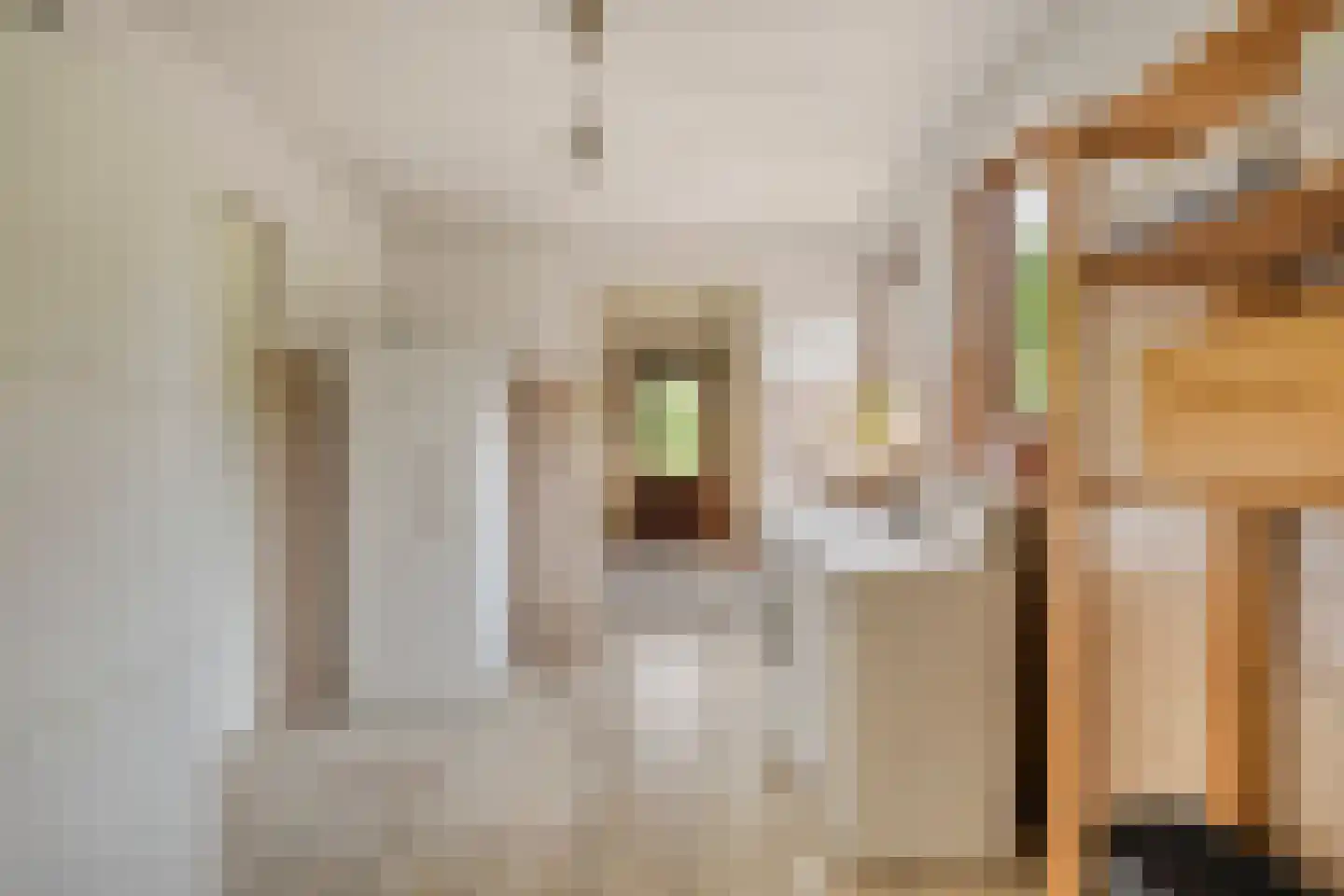 Dotterbloemstraat 22 Klaaswaal thumbnail 20