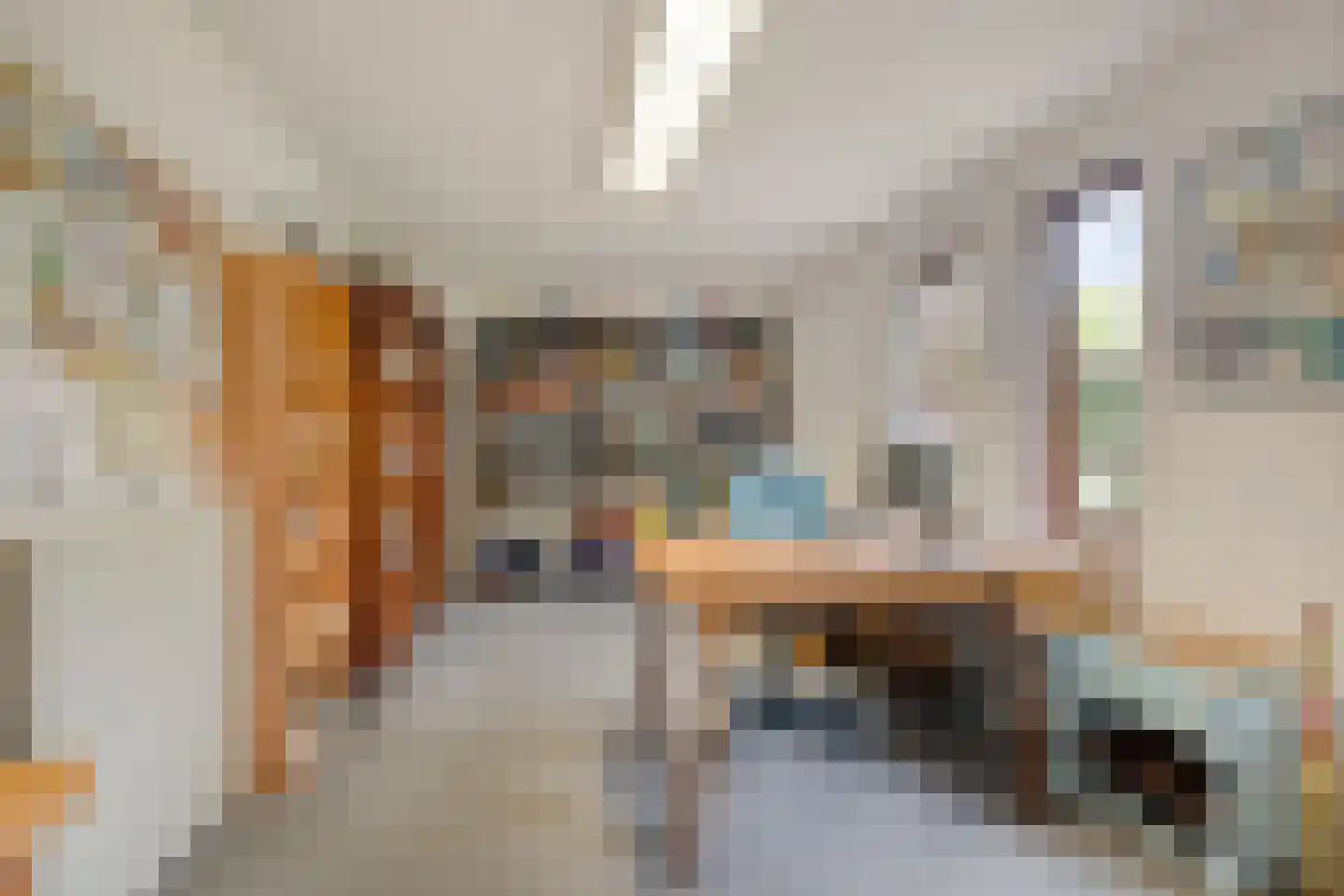 Dotterbloemstraat 22 Klaaswaal thumbnail 21