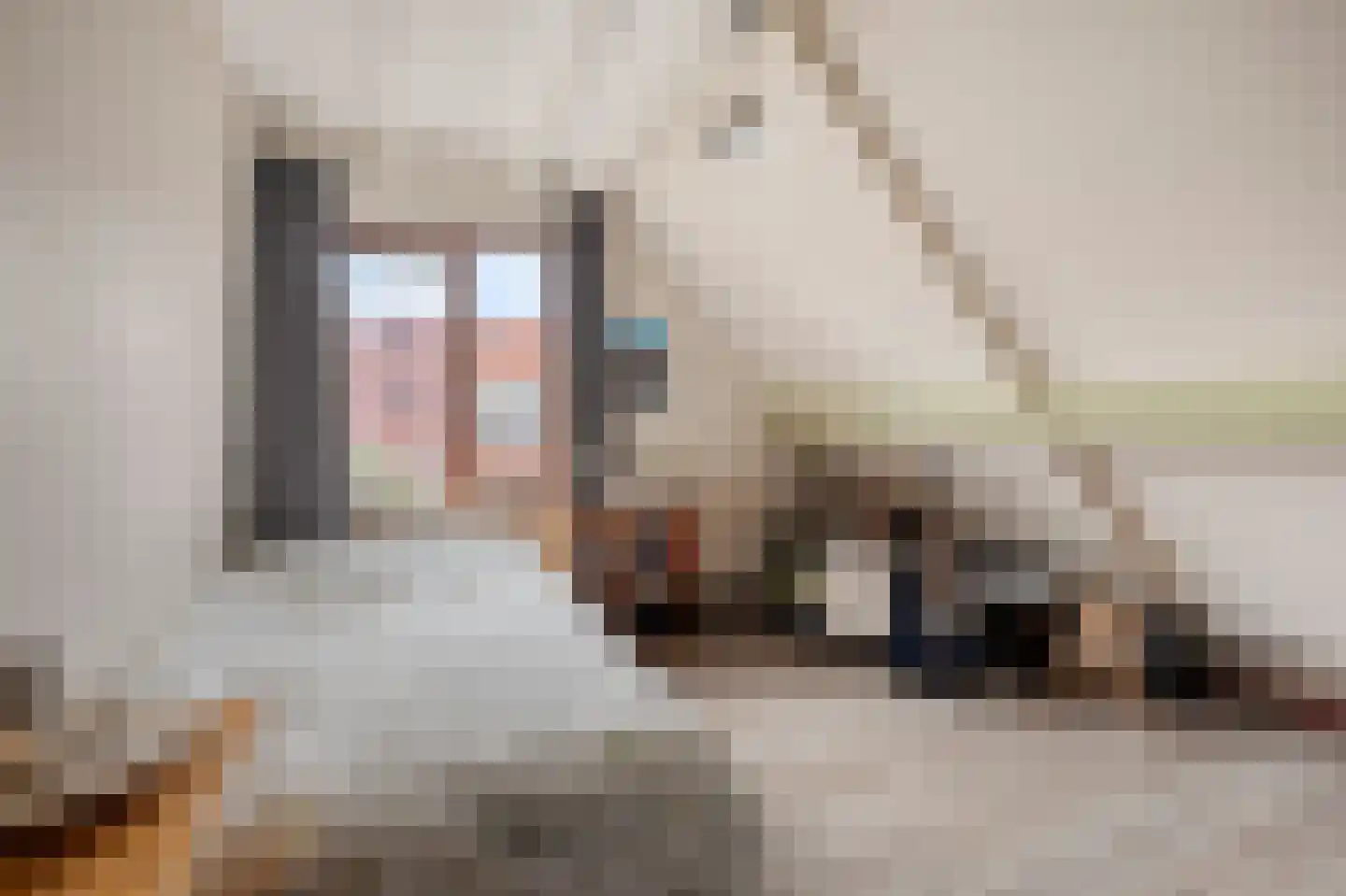 Dotterbloemstraat 22 Klaaswaal thumbnail 26