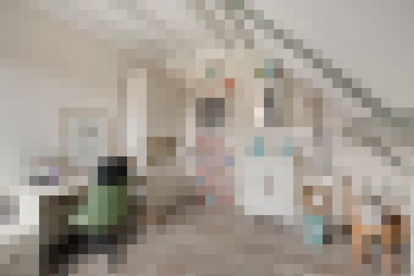 Dotterbloemstraat 22 Klaaswaal thumbnail 29