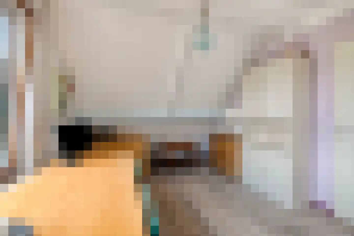 Dotterbloemstraat 22 Klaaswaal thumbnail 32