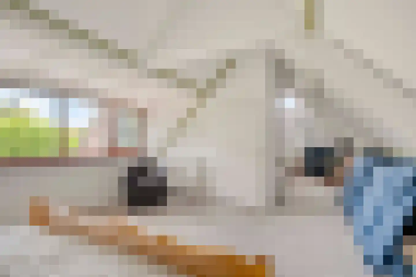 Dotterbloemstraat 22 Klaaswaal thumbnail 36