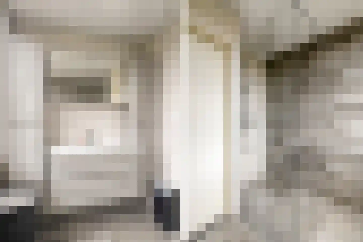 Dotterbloemstraat 22 Klaaswaal thumbnail 39