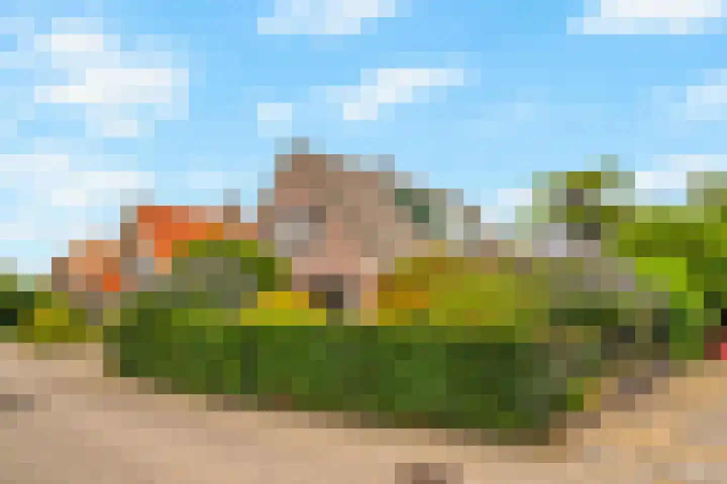 Dotterbloemstraat 22 Klaaswaal thumbnail 4