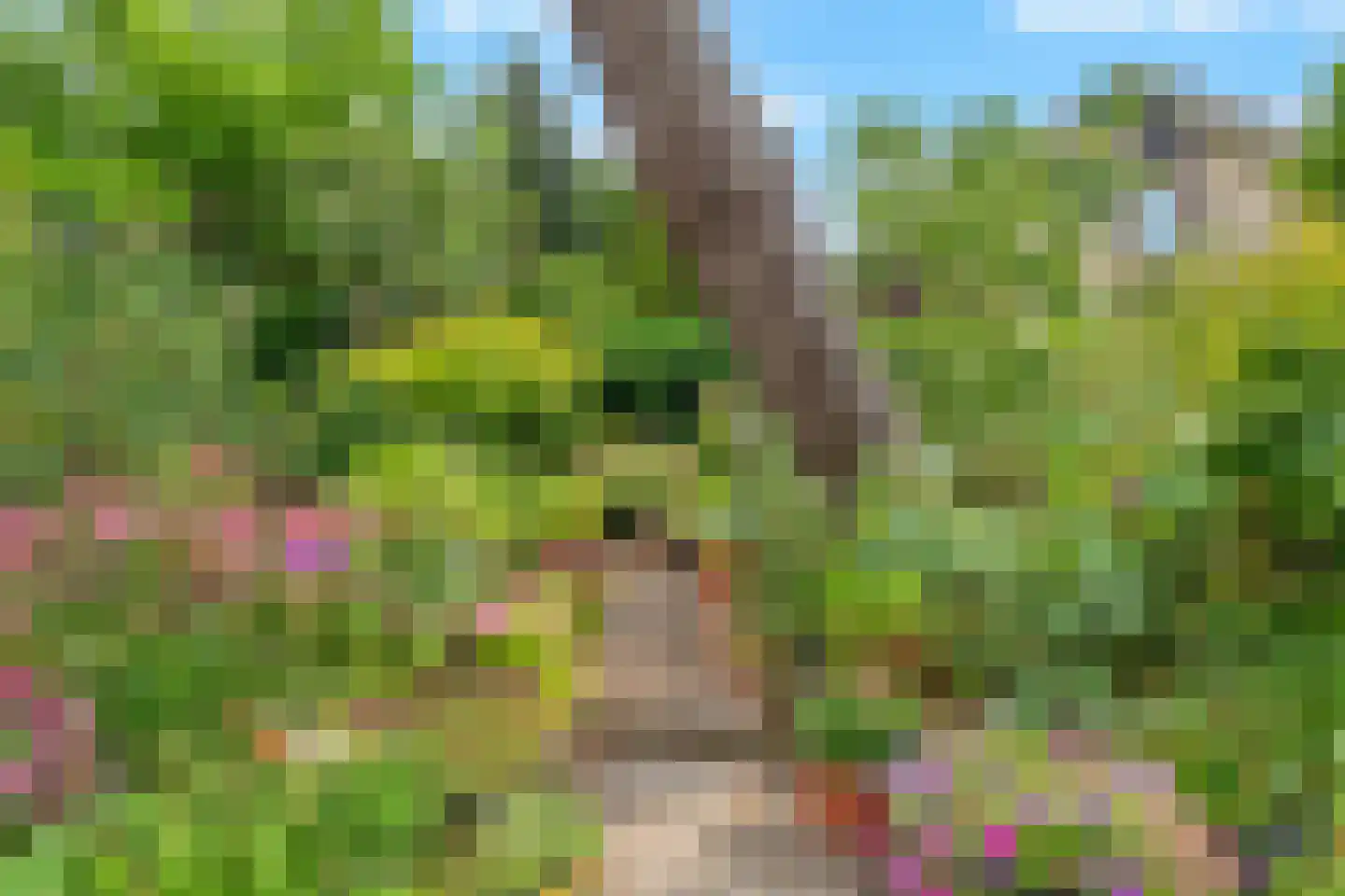 Dotterbloemstraat 22 Klaaswaal thumbnail 41