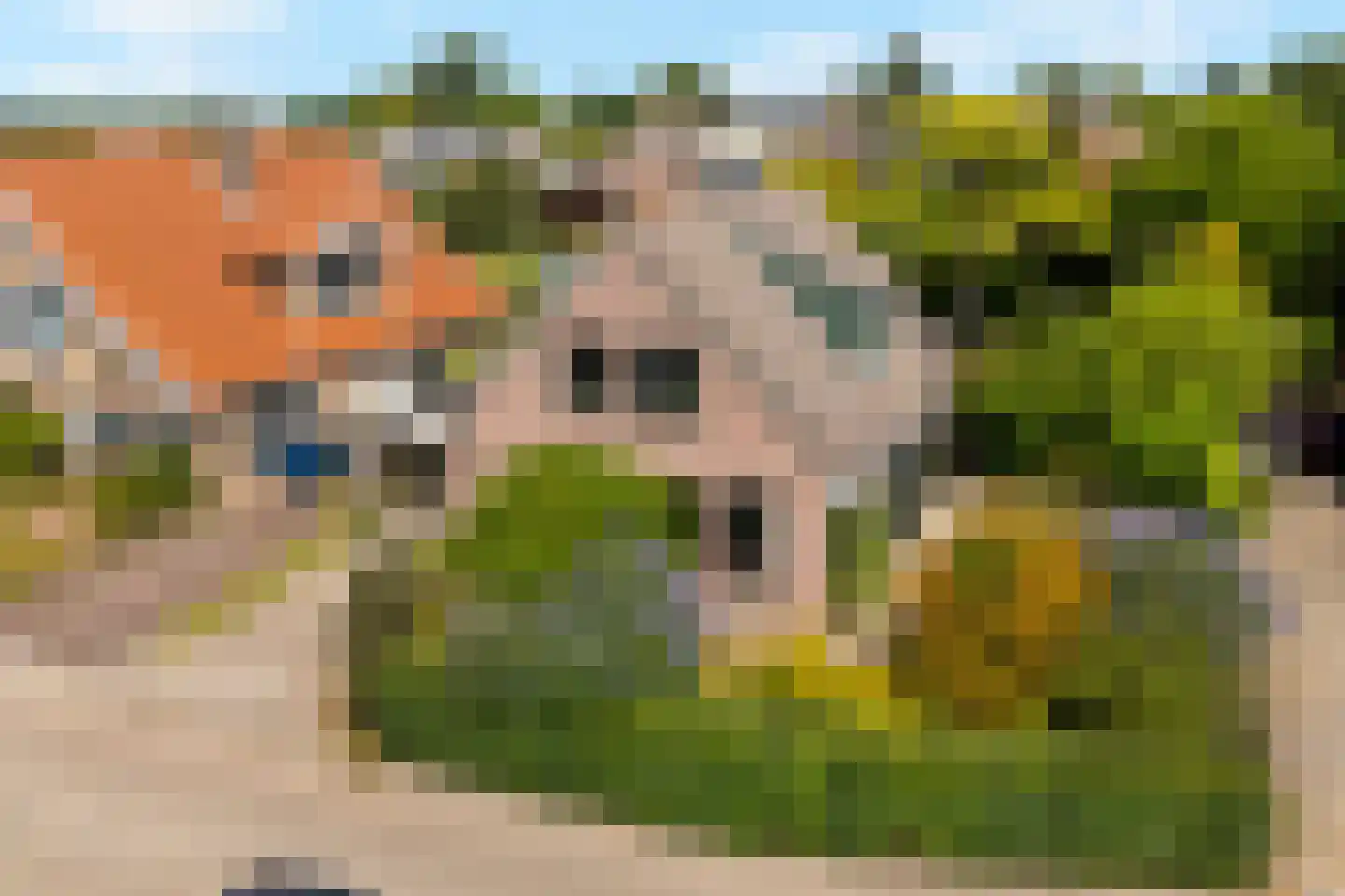 Dotterbloemstraat 22 Klaaswaal thumbnail 5