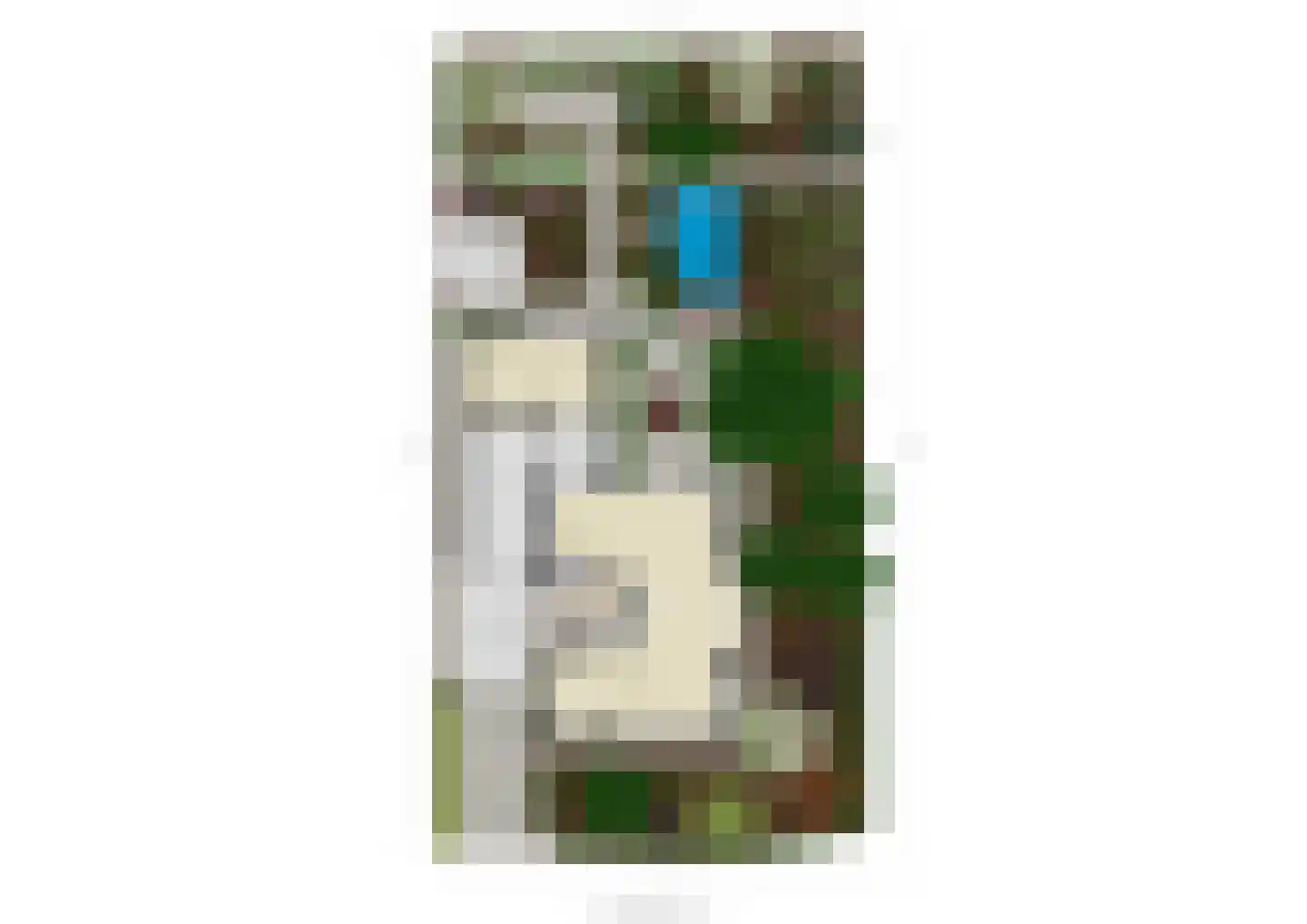 Dotterbloemstraat 22 Klaaswaal thumbnail 53