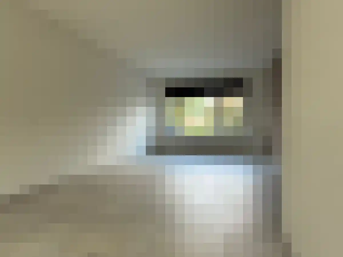 Dotterbloemstraat 23 Nieuwegein thumbnail 4