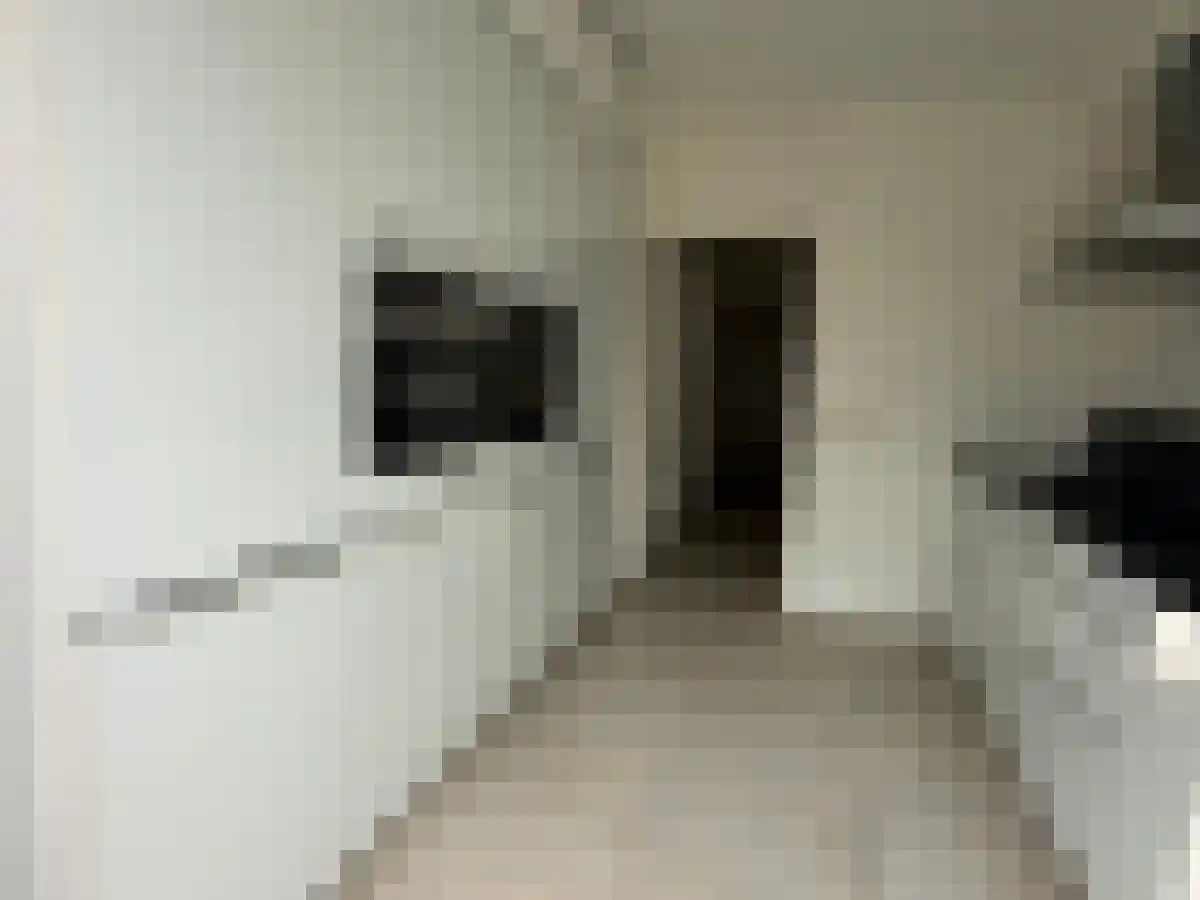 Dotterbloemstraat 23 Nieuwegein thumbnail 6
