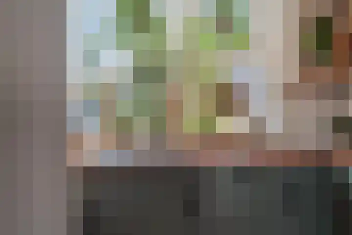 Dotterbloemstraat 29 Klaaswaal thumbnail 21