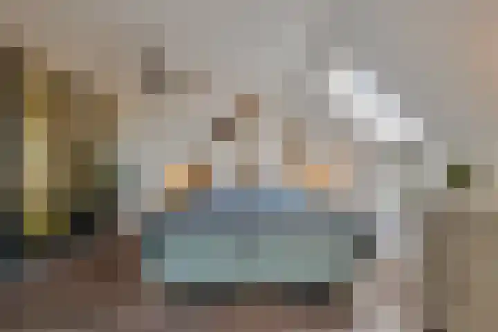 Dotterbloemstraat 29 Klaaswaal thumbnail 33