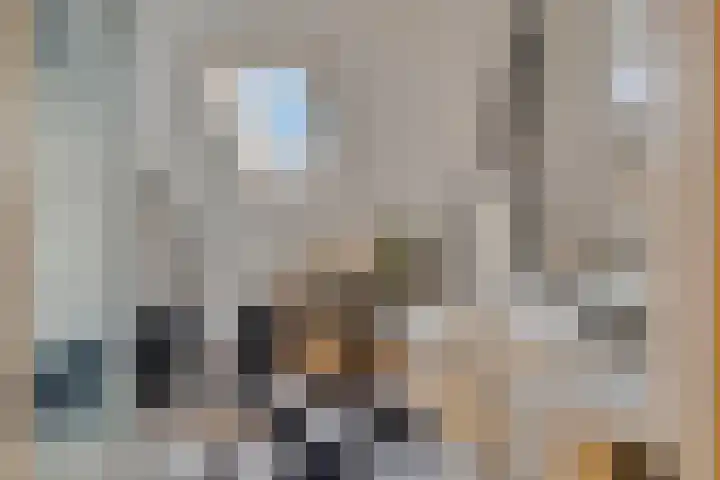 Dotterbloemstraat 29 Klaaswaal thumbnail 34
