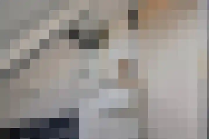 Dotterbloemstraat 29 Klaaswaal thumbnail 36