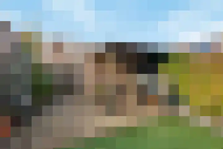 Dotterbloemstraat 29 Klaaswaal thumbnail 39