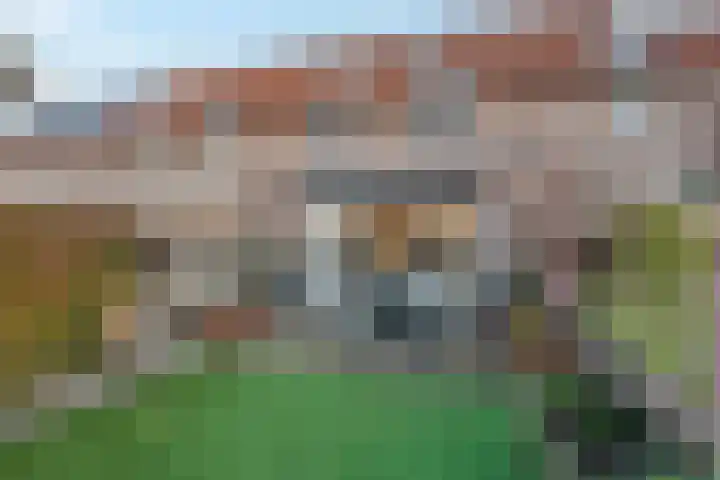 Dotterbloemstraat 29 Klaaswaal thumbnail 42