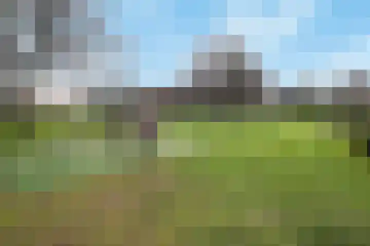 Dotterbloemstraat 29 Klaaswaal thumbnail 43