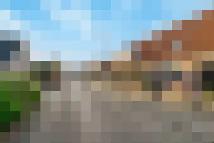 Dotterbloemstraat 29 Klaaswaal thumbnail 46