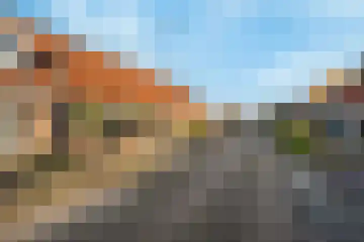 Dotterbloemstraat 29 Klaaswaal thumbnail 47