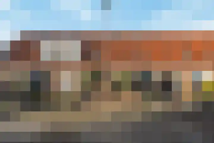Dotterbloemstraat 29 Klaaswaal thumbnail 48