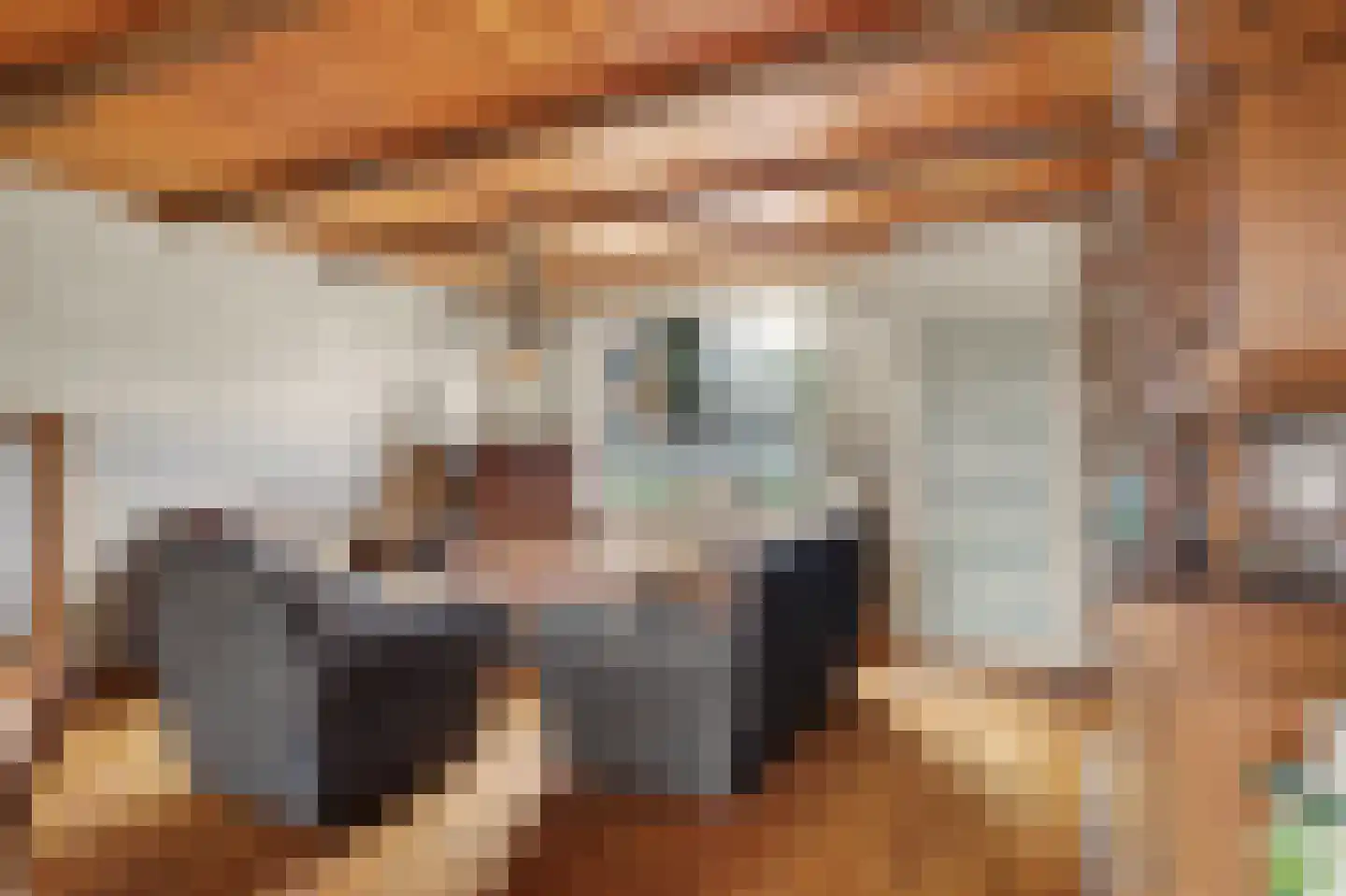 Dotterbloemstraat 3 Klaaswaal thumbnail 13