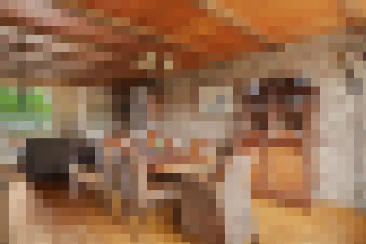 Dotterbloemstraat 3 Klaaswaal thumbnail 15