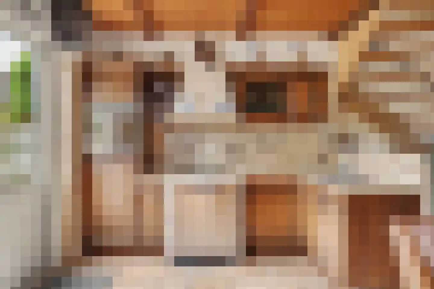 Dotterbloemstraat 3 Klaaswaal thumbnail 16