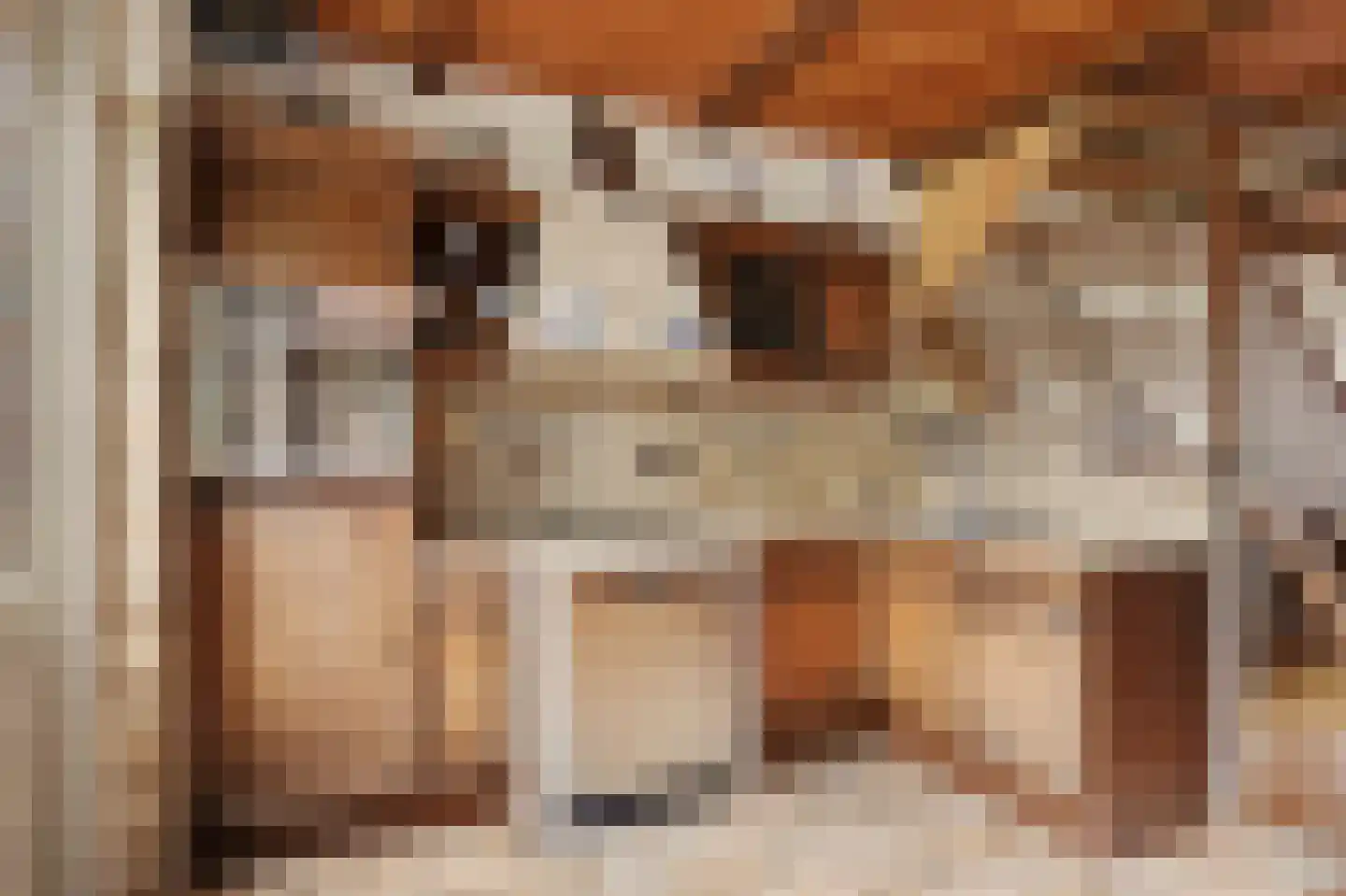 Dotterbloemstraat 3 Klaaswaal thumbnail 17