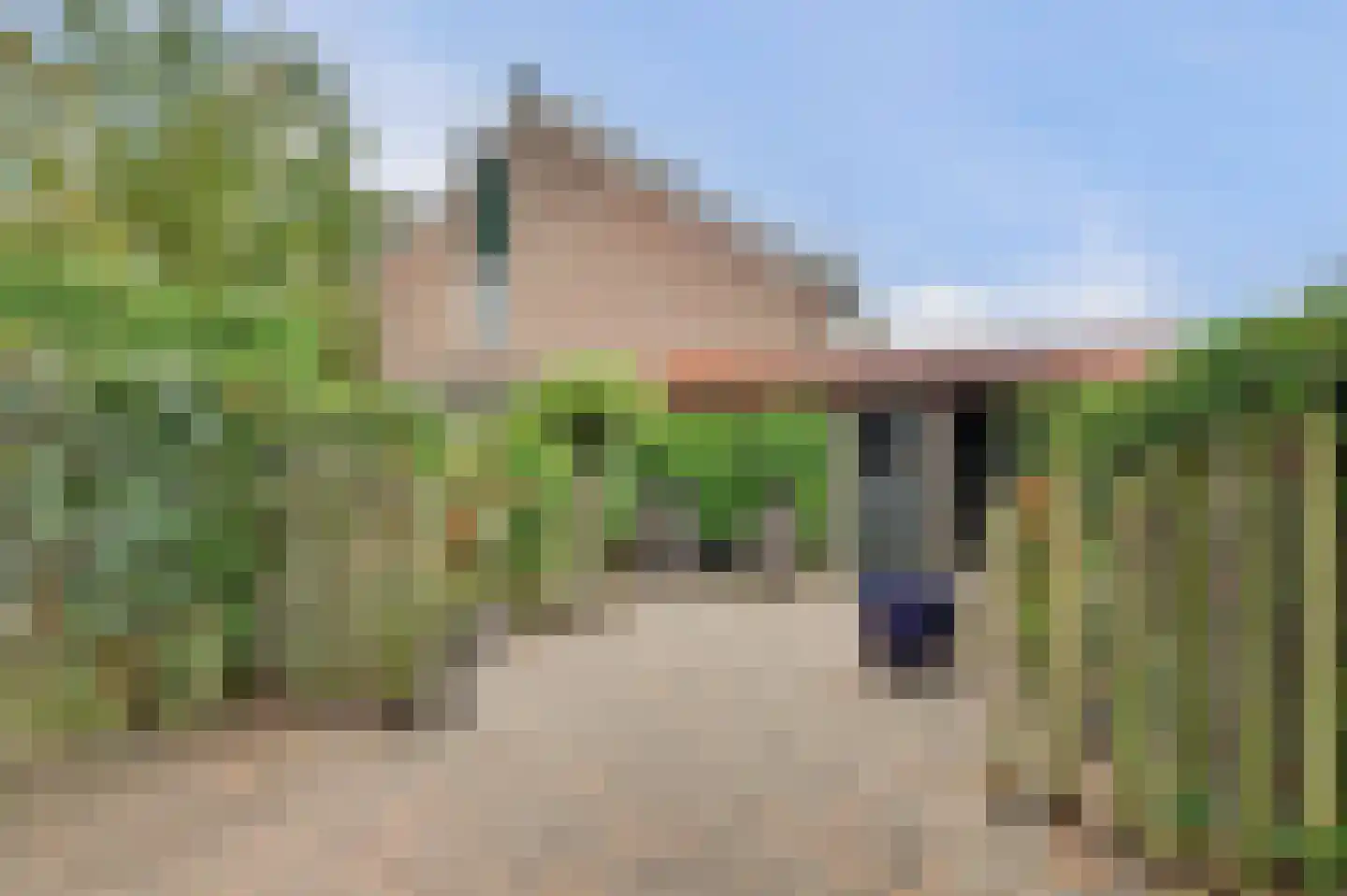 Dotterbloemstraat 3 Klaaswaal thumbnail 29