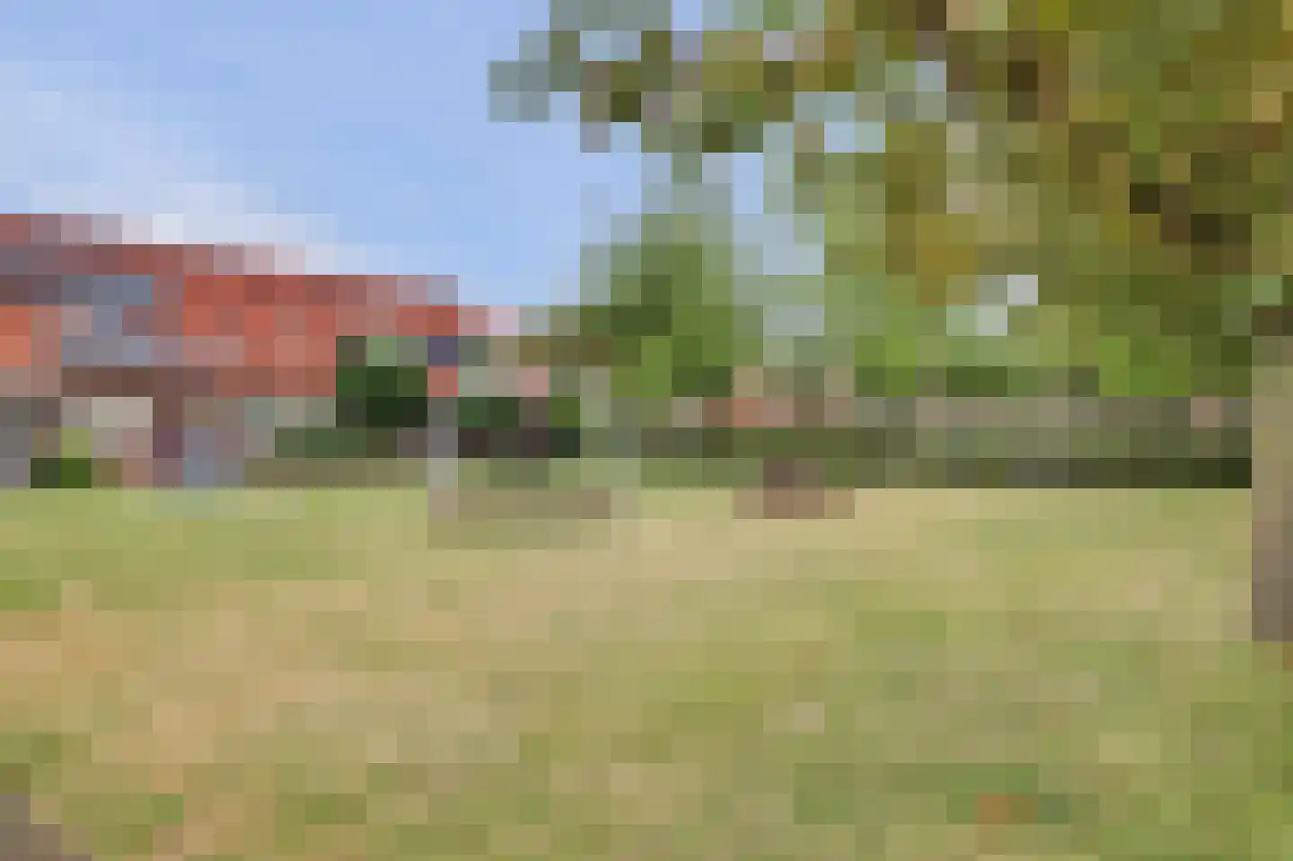 Dotterbloemstraat 3 Klaaswaal thumbnail 30