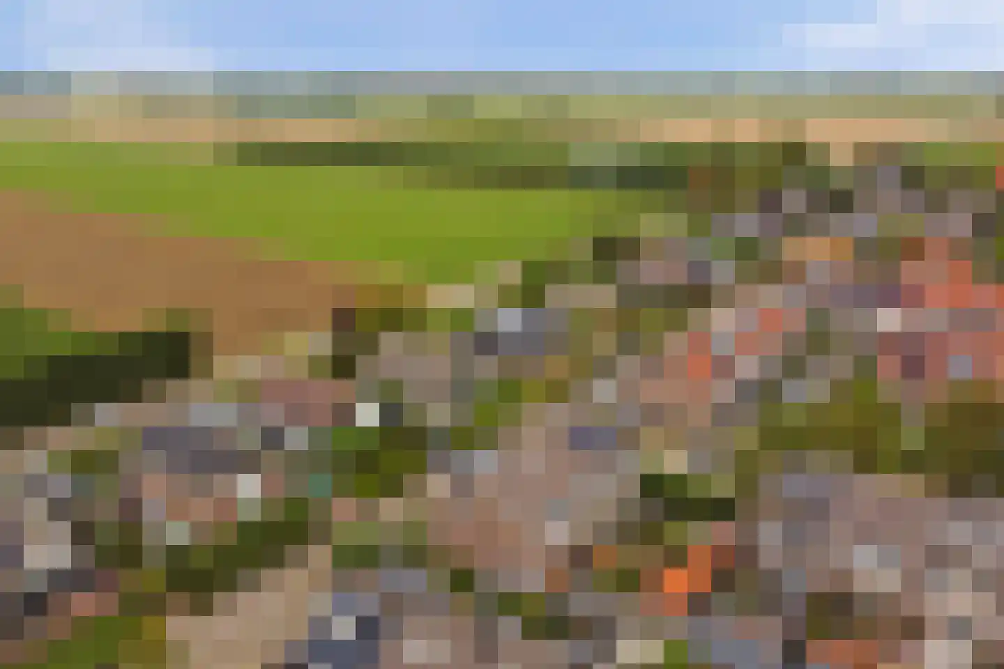 Dotterbloemstraat 3 Klaaswaal thumbnail 31