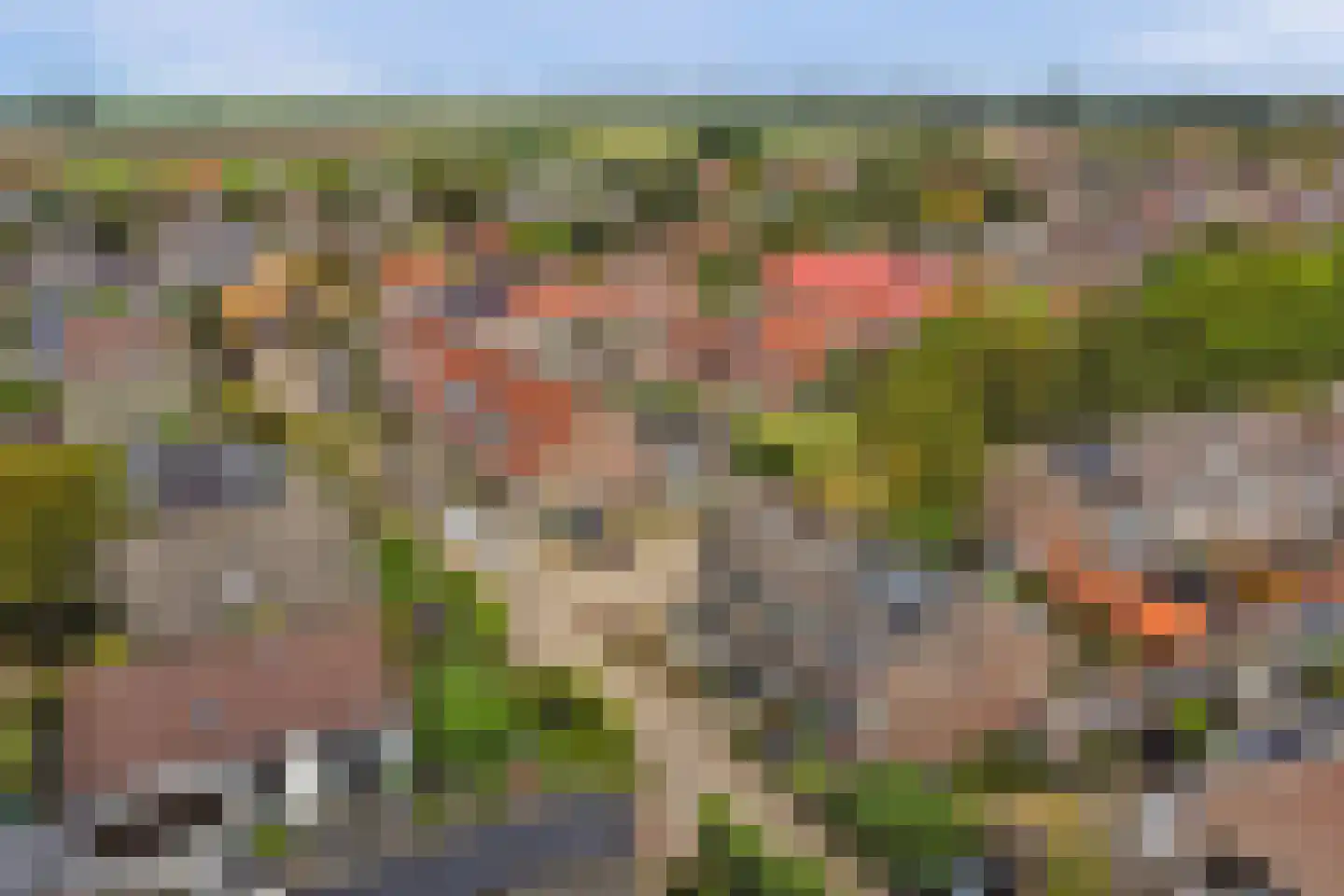 Dotterbloemstraat 3 Klaaswaal thumbnail 32