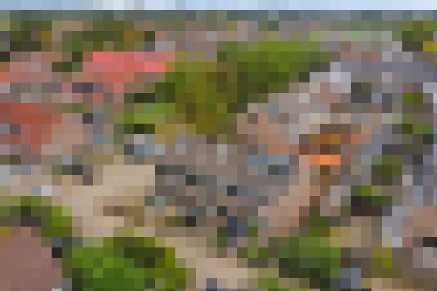 Dotterbloemstraat 3 Klaaswaal thumbnail 33