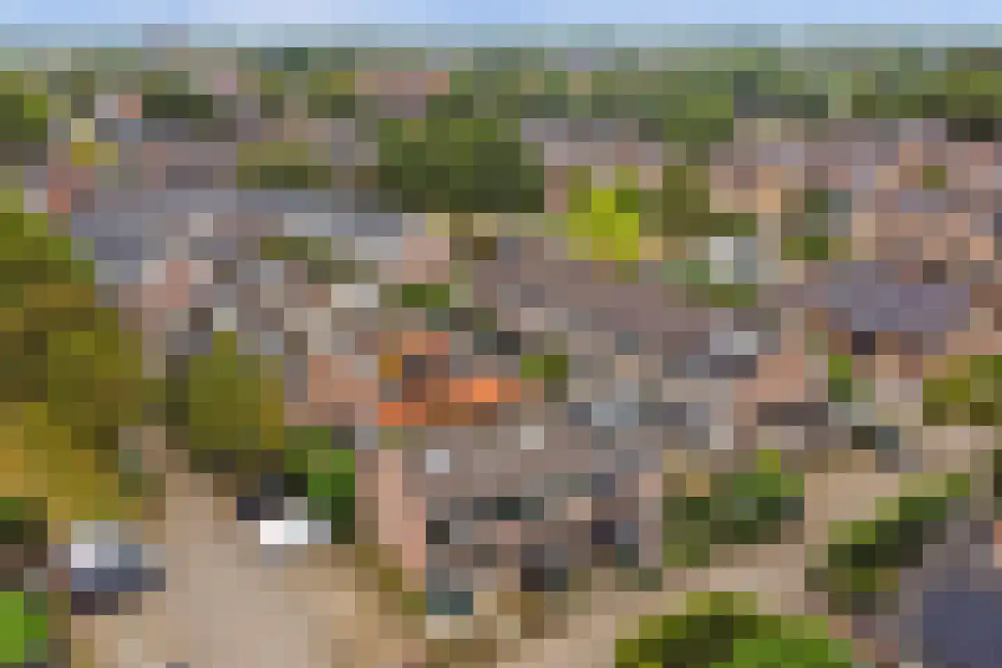 Dotterbloemstraat 3 Klaaswaal thumbnail 34