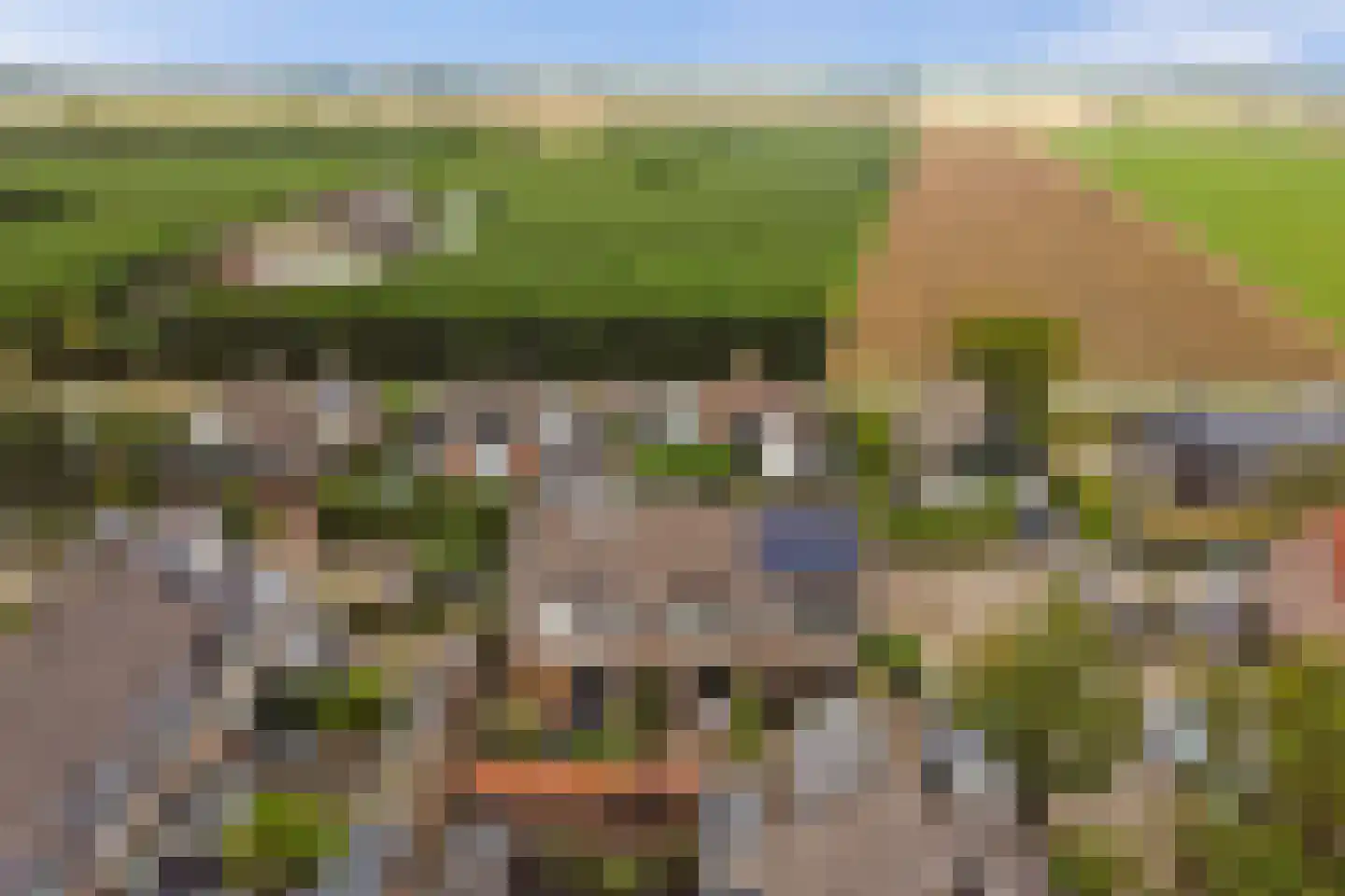 Dotterbloemstraat 3 Klaaswaal thumbnail 35