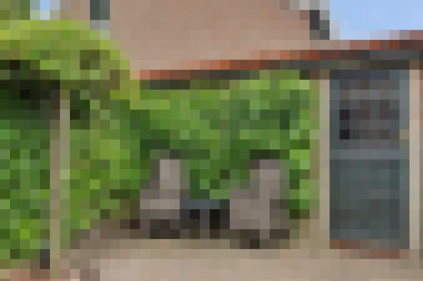 Dotterbloemstraat 3 Klaaswaal thumbnail 4