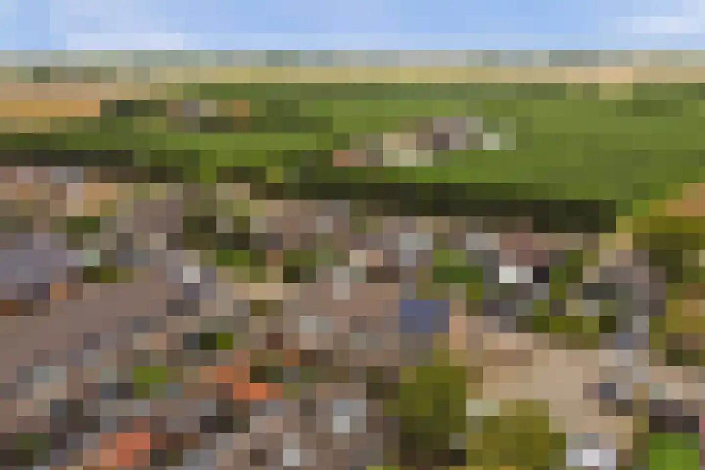 Dotterbloemstraat 3 Klaaswaal thumbnail 5