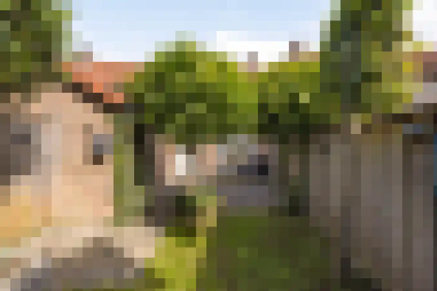 Dotterbloemstraat 55 Enschede thumbnail 33