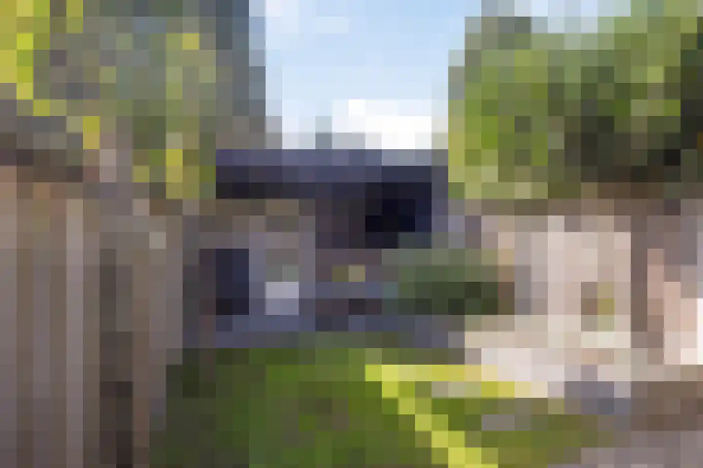 Dotterbloemstraat 55 Enschede thumbnail 8