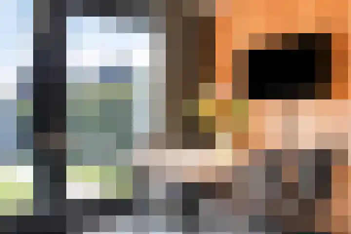 Dotterbloemstraat 6 Landhorst thumbnail 10